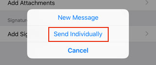 Send text or sms individually iPhone image